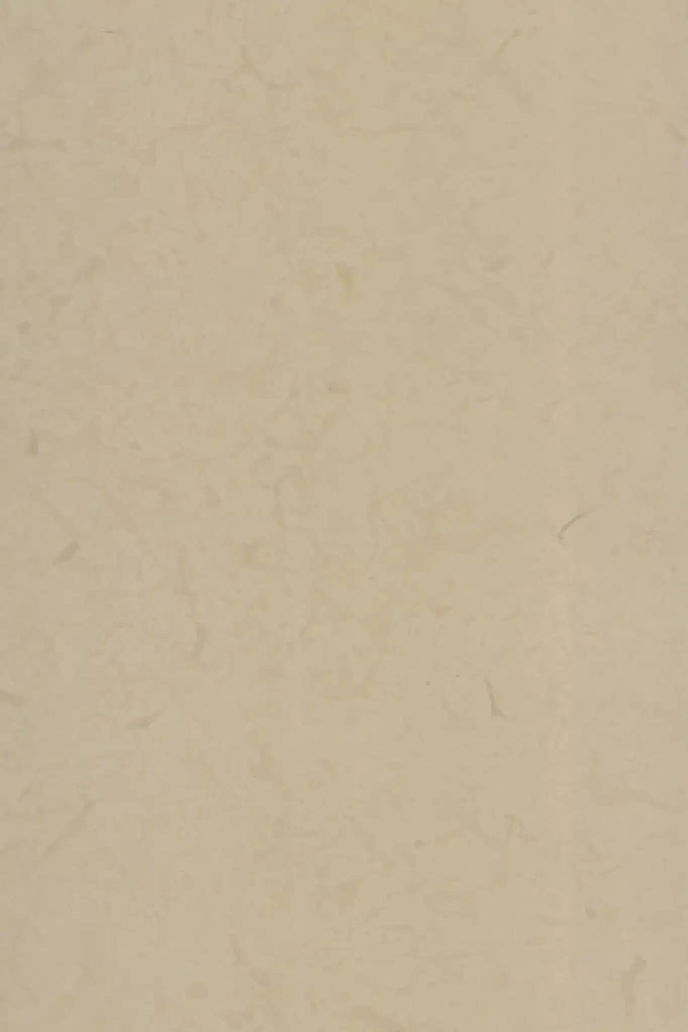 Beige Limestone Commercial