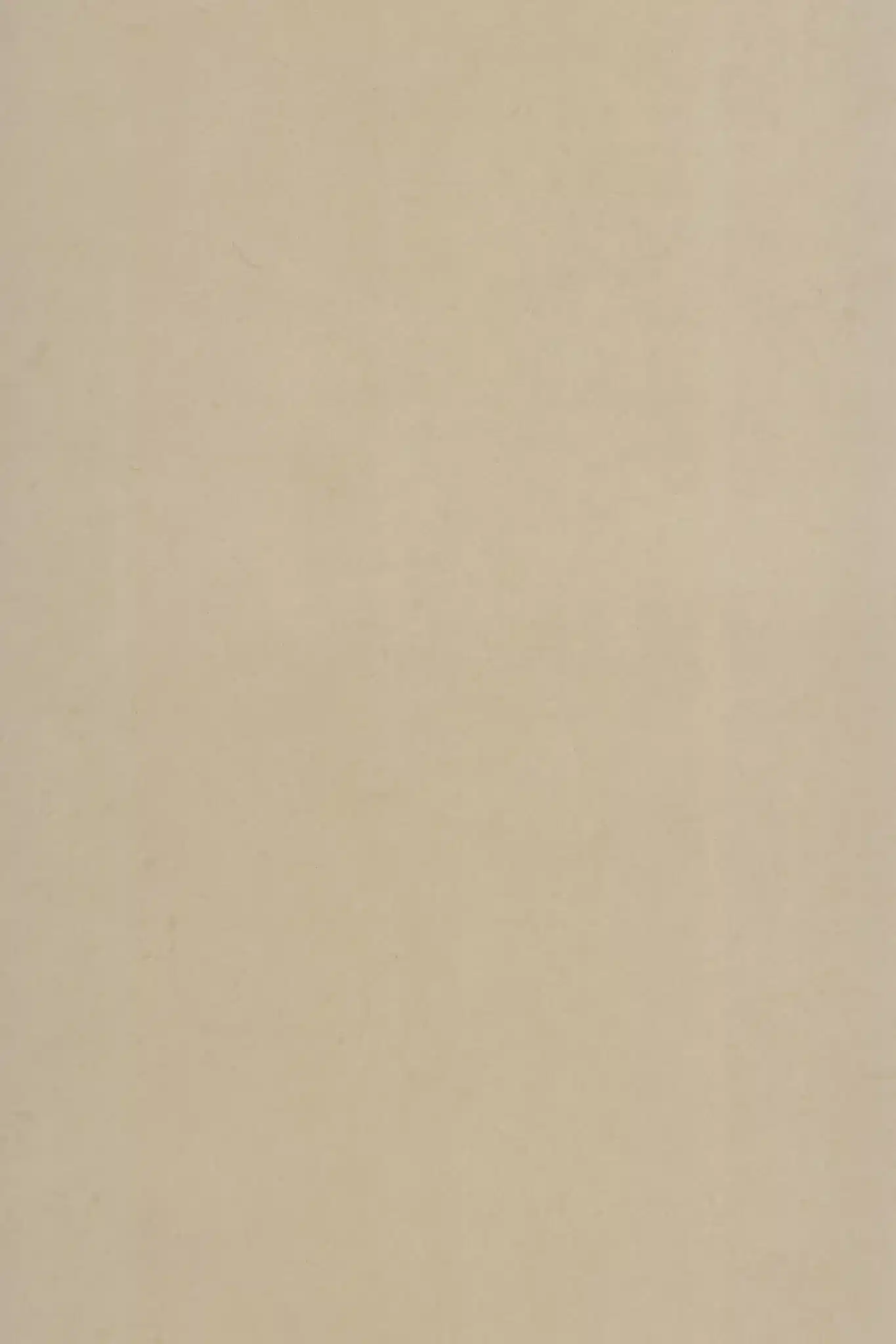 Beige Limestone First Choice