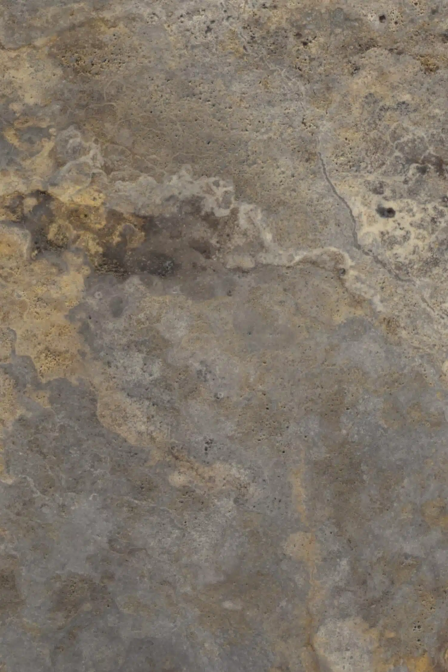 Iranian_Persian_Rustic-Golden-Silver_Travertine_Cross-Cut_honed-2